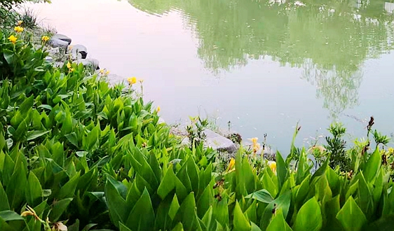 “十四五”期間，要以貫徹落實(shí)《地下水管理?xiàng)l例》為主線